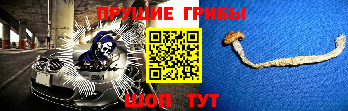 Галлюциногенные грибы мухоморы  Вход с VPN  Галлюциногенные грибы Psilocybine cubensis  Белореченск 